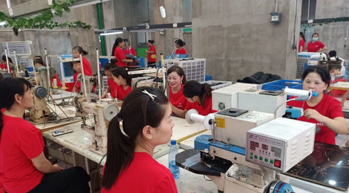 鞋履织就振兴路 白沙镇鞋厂三迁记与家政新风